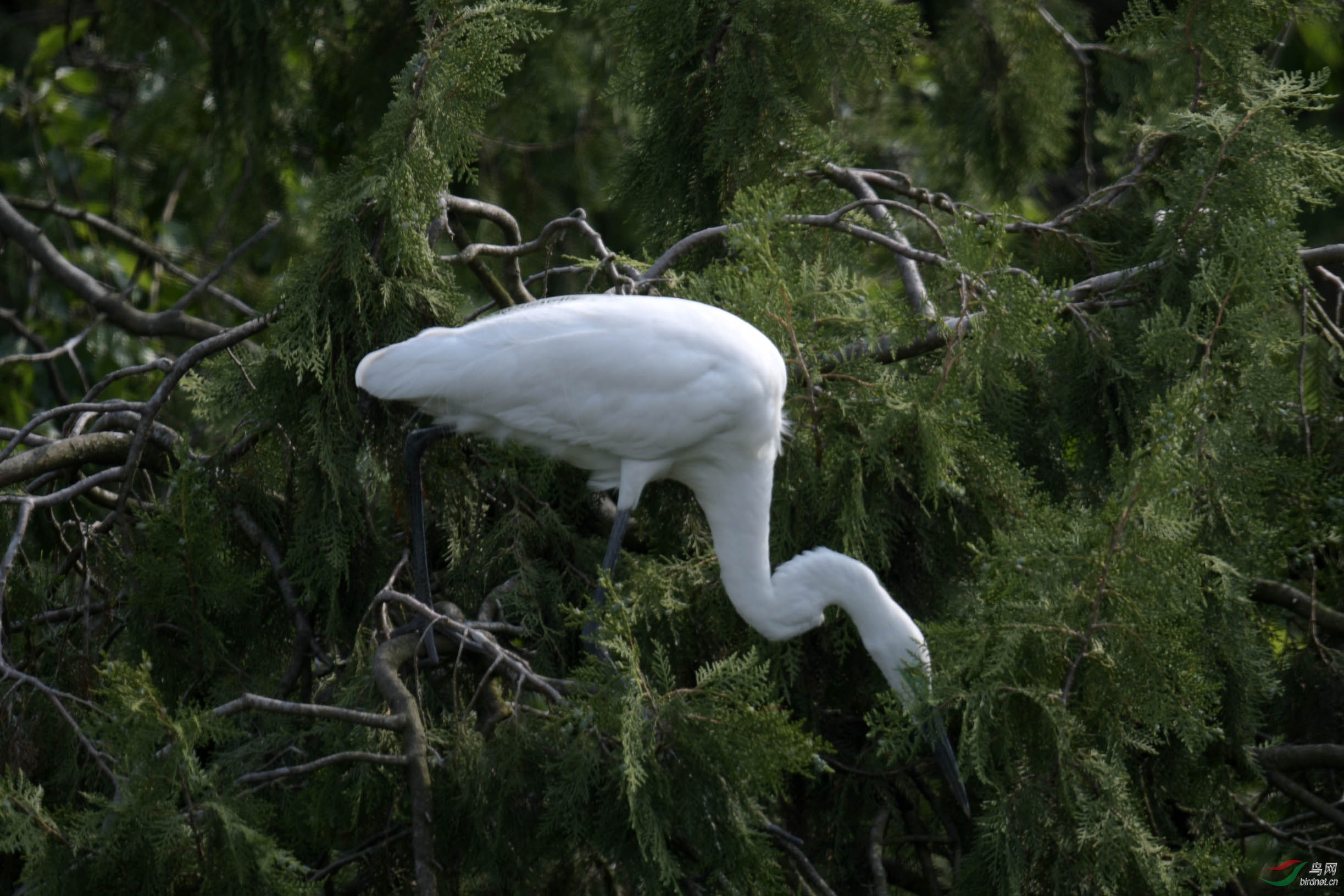 D50_2035.jpg