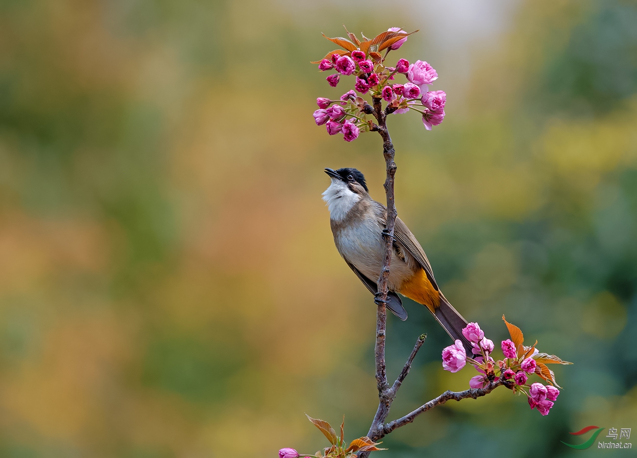 DSC_4145.jpg