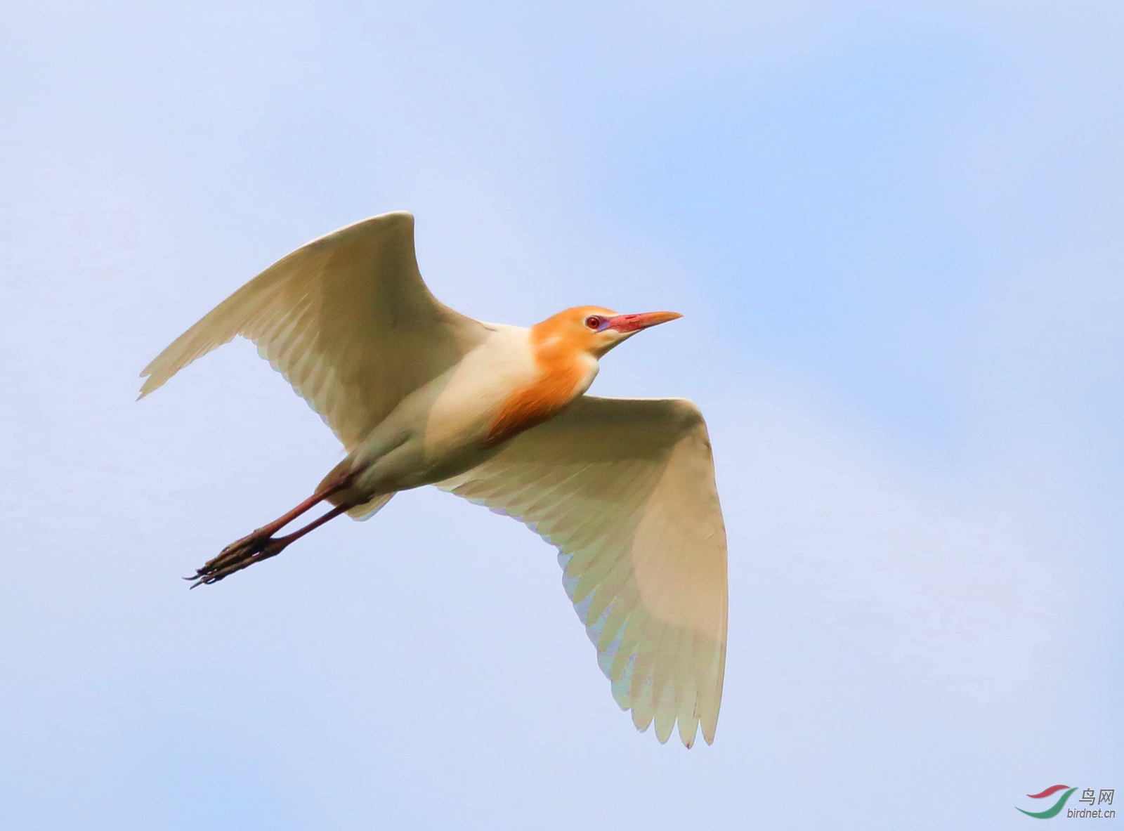 4AS5A6025 1_����.jpg