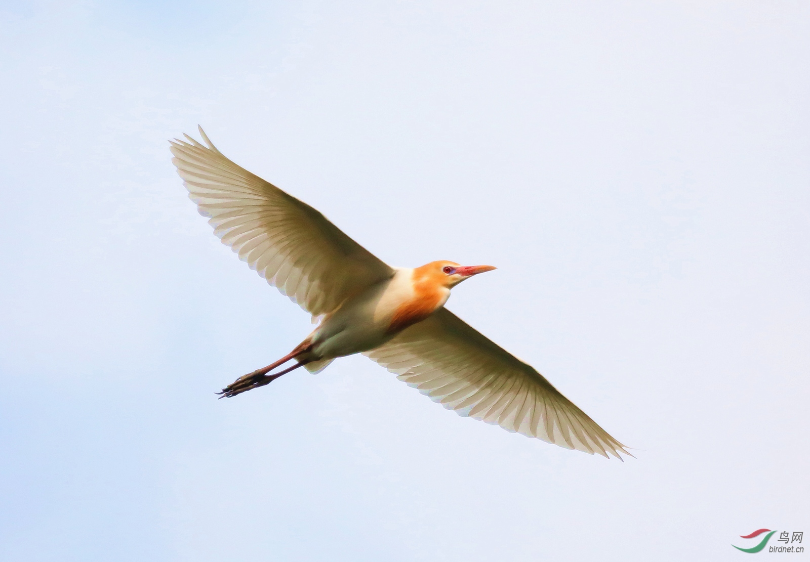 5AS5A6026 1_����.jpg