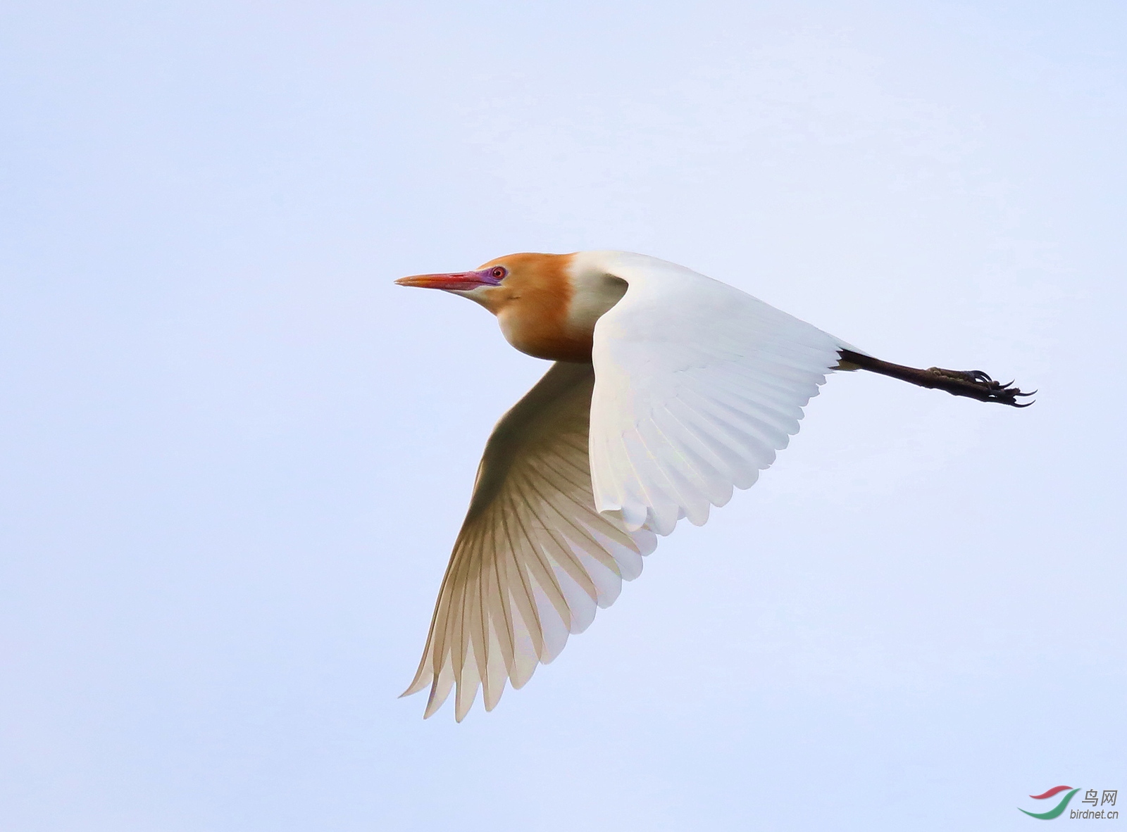 6AS5A6029 1_����.jpg