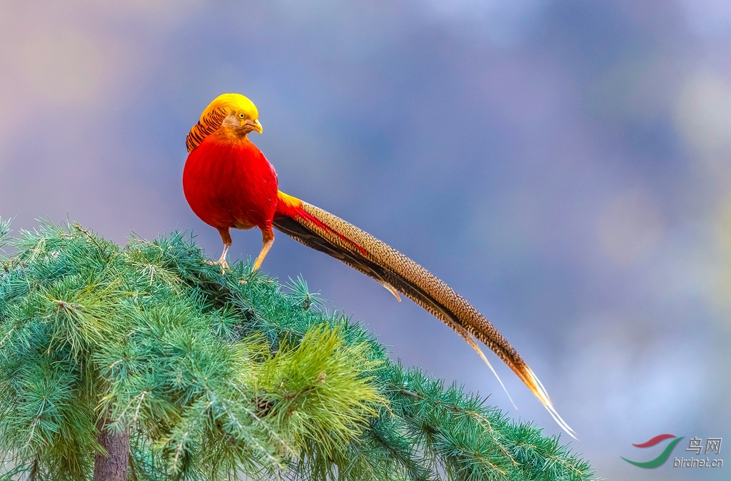 AK8I1886  02_����.jpg