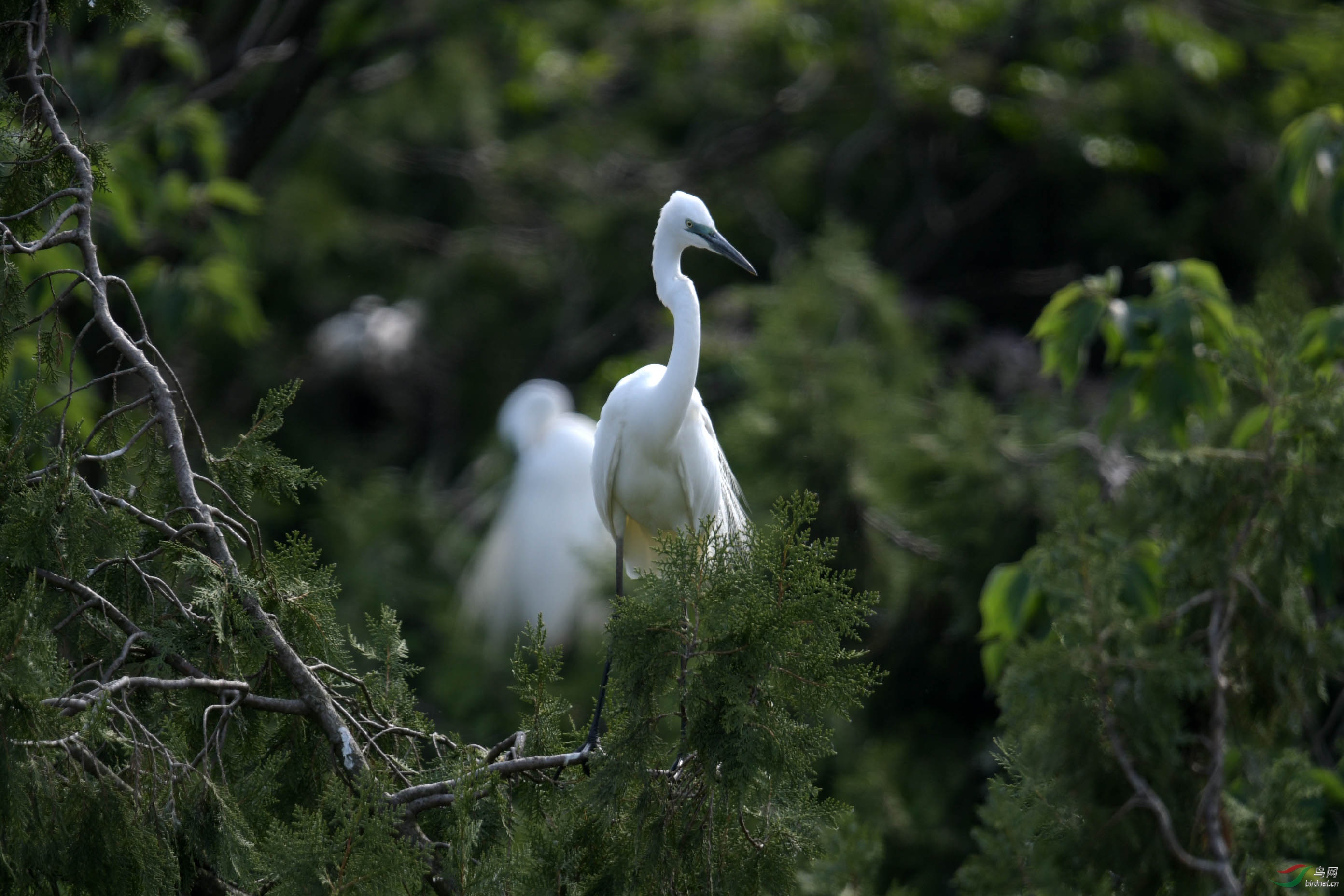D50_2038.jpg