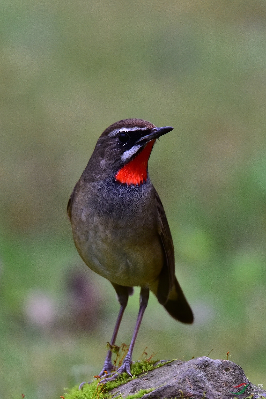 DSC_0568.JPG
