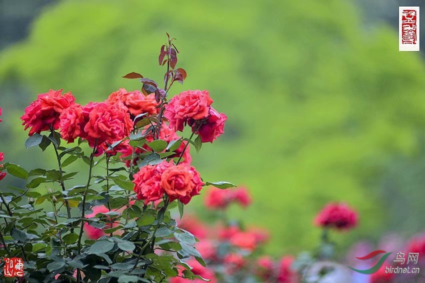 916C916F-7BDB-41BE-8AE7-F540991164C0.jpeg