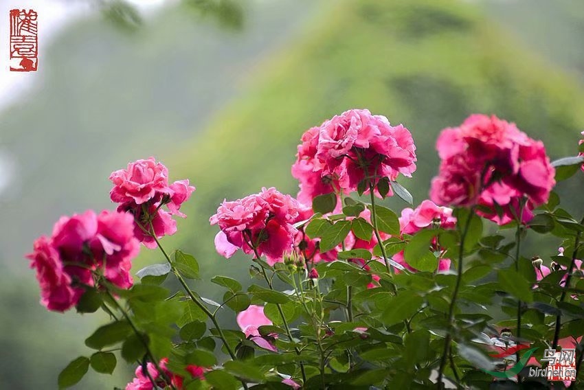 CCC6B035-5F1E-4623-A8C1-963A216CDCBE.jpeg