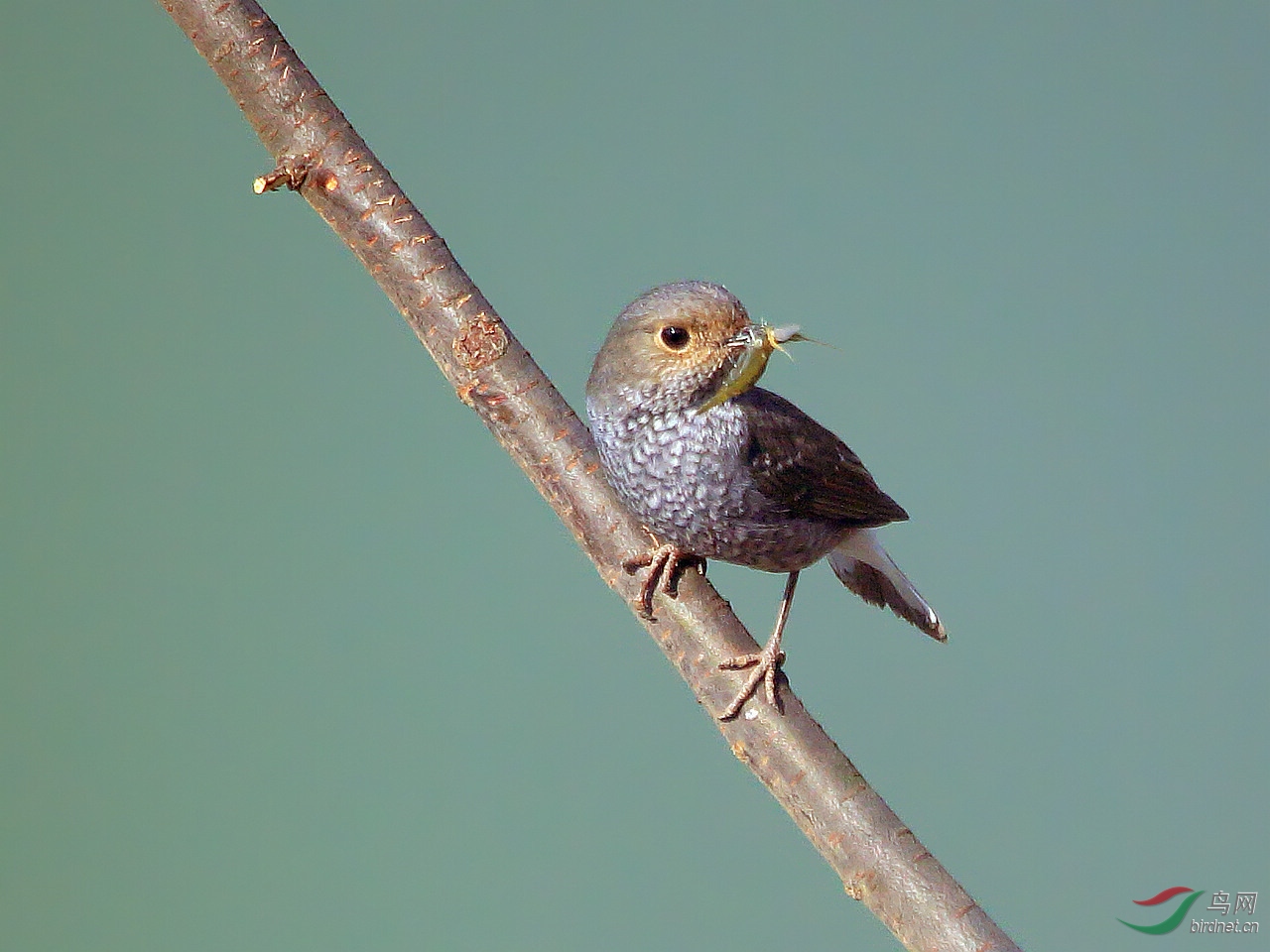 TX0A9814.jpg