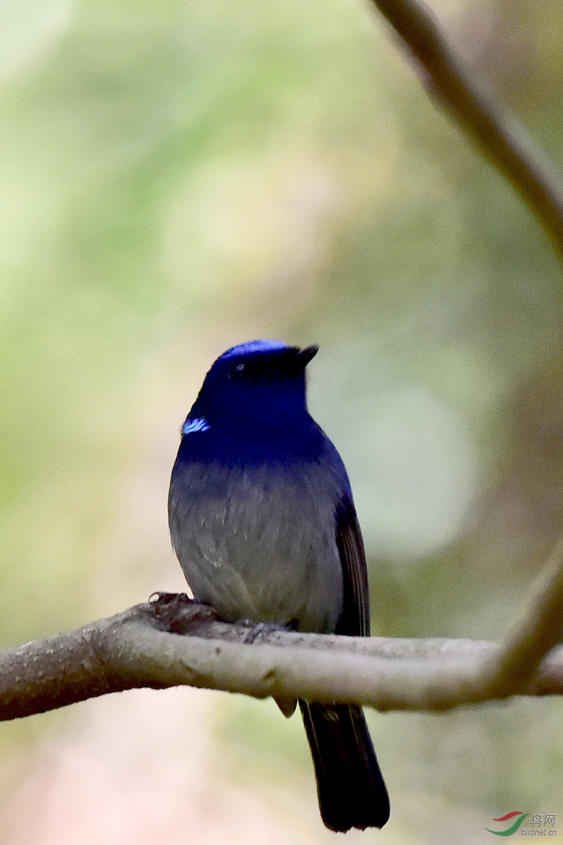 DSC_0572.JPG