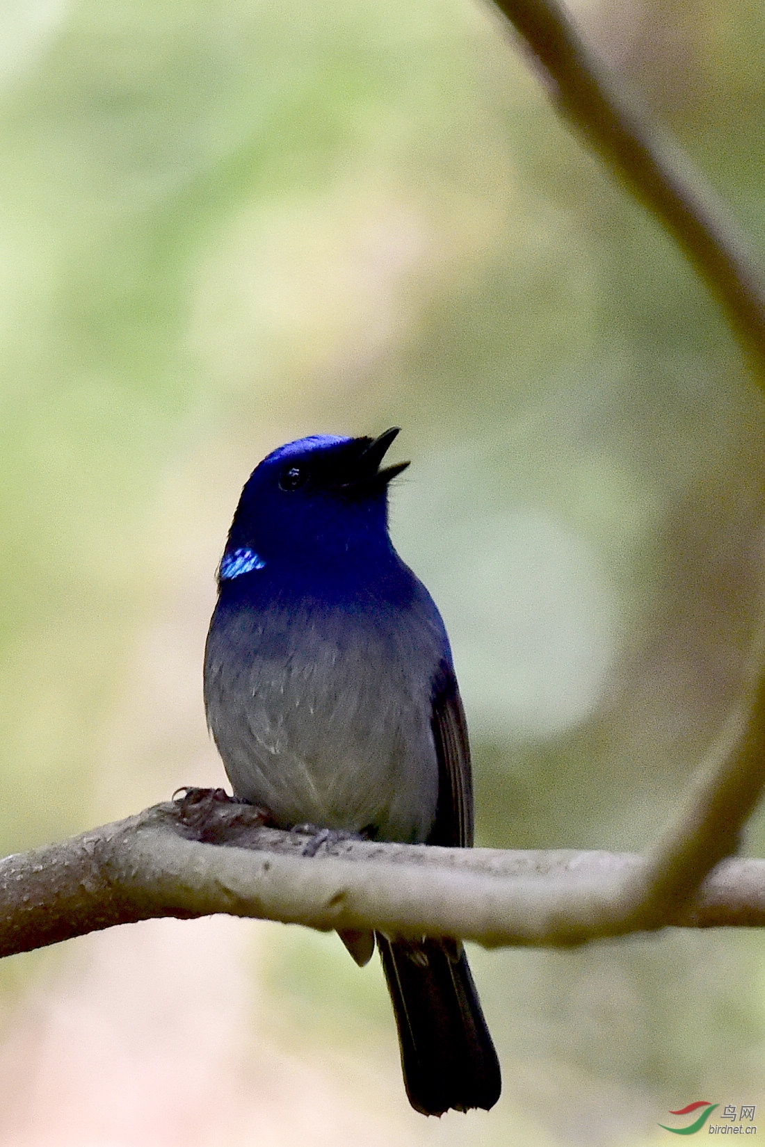 DSC_0573.JPG