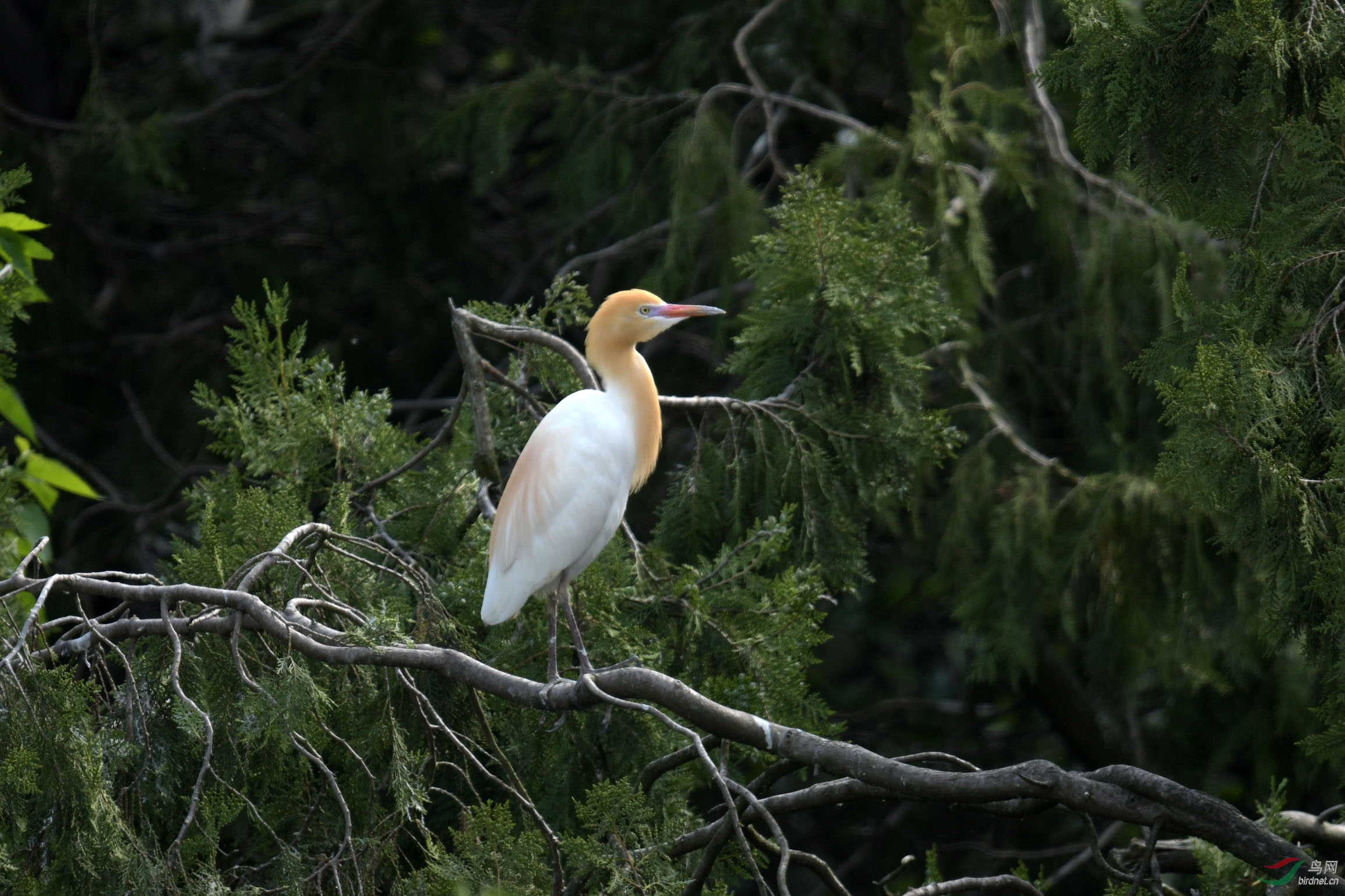 D50_2042.jpg