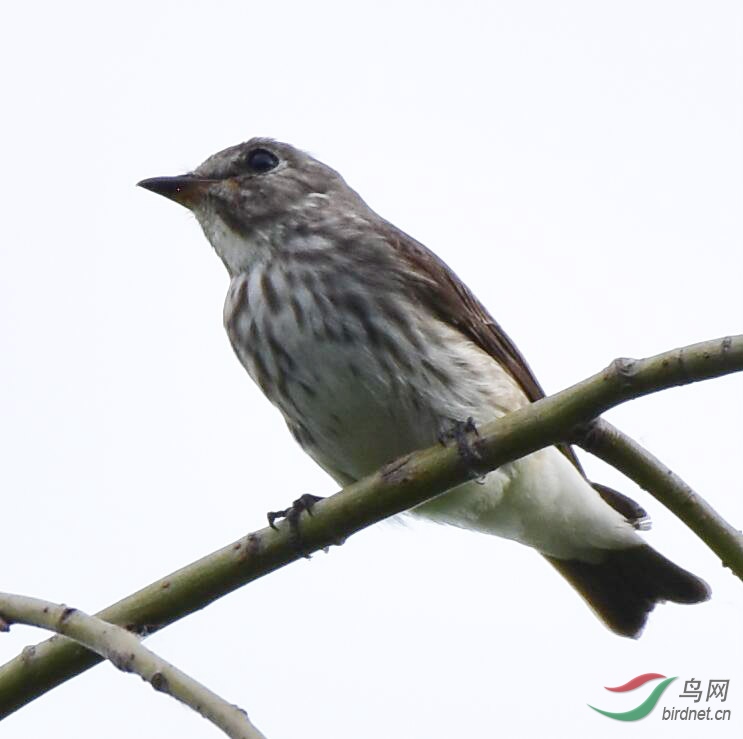 QQ��ͼ20190516174216.jpg