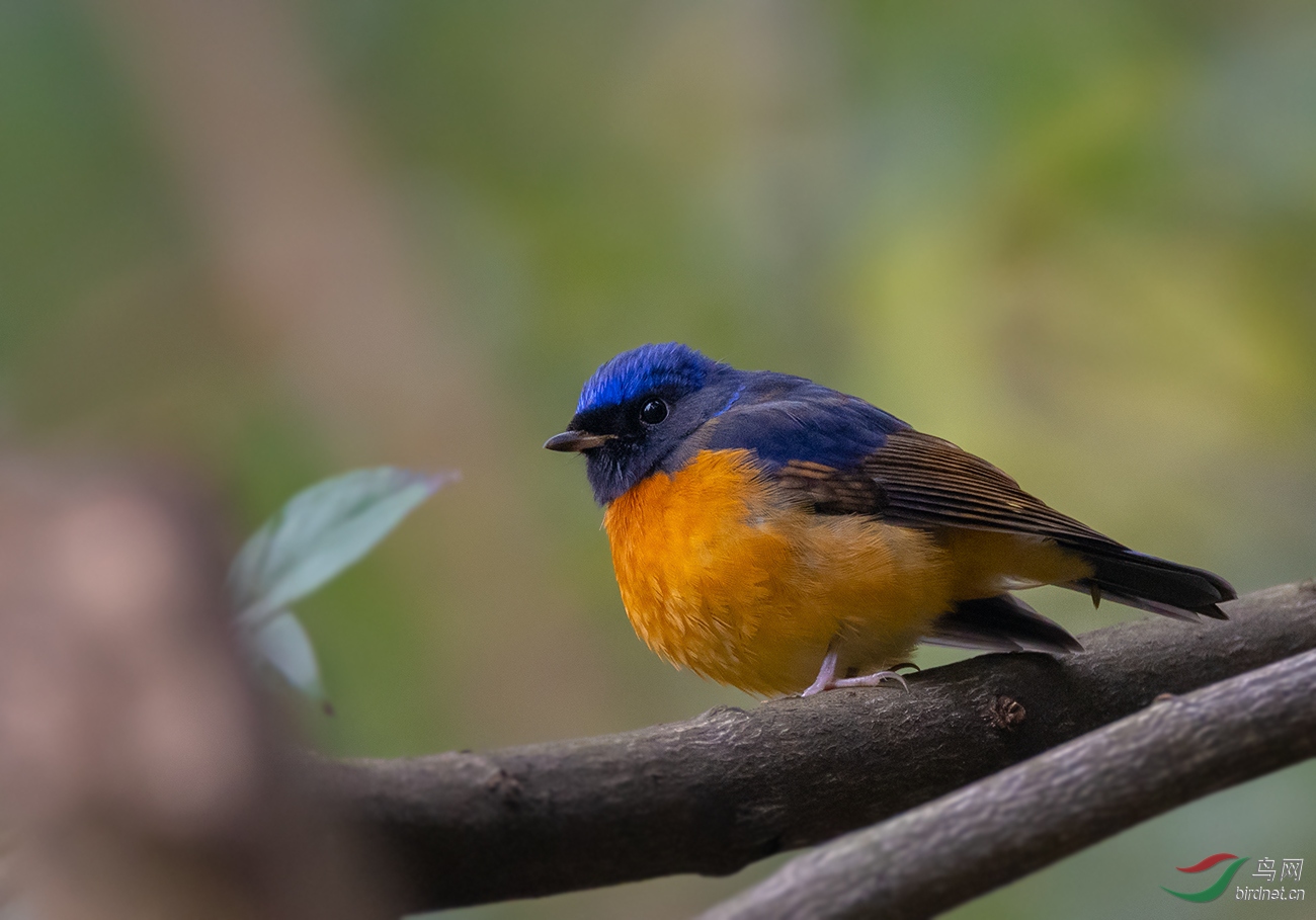 DSC_3119.jpg