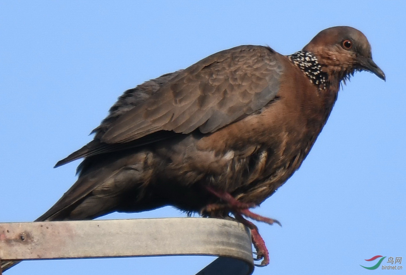 DSC_5970jbyd.jpg