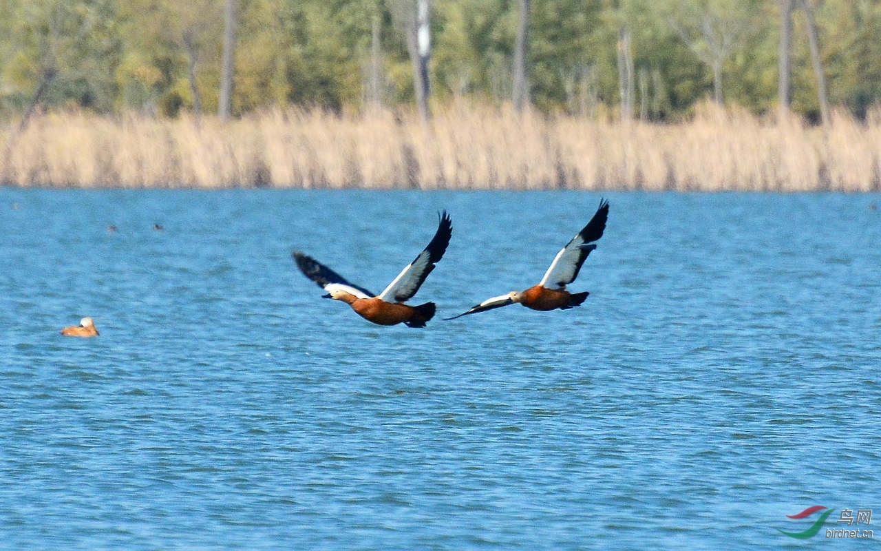 DSC_9403.JPG