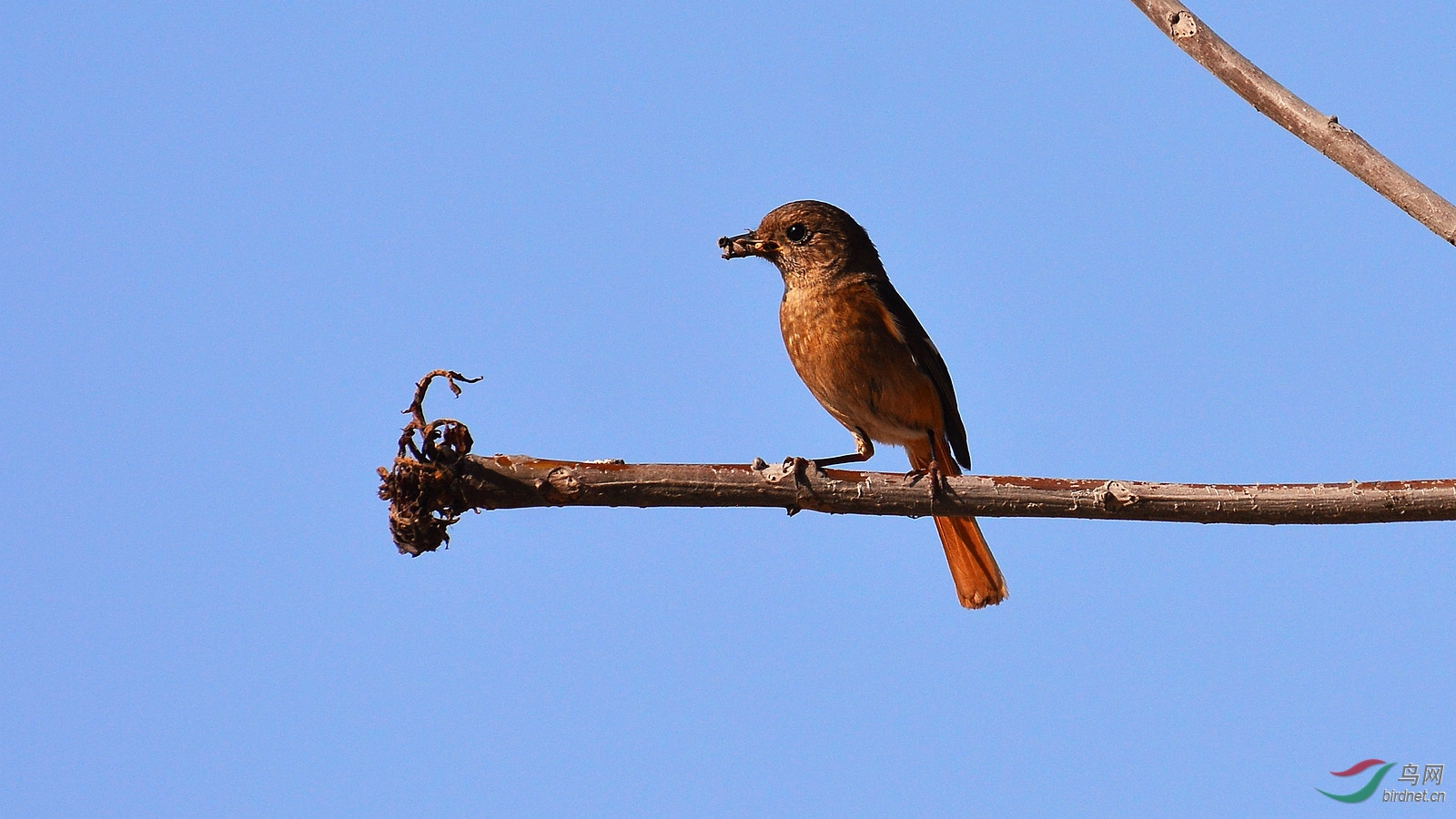 DSC_7984.JPG