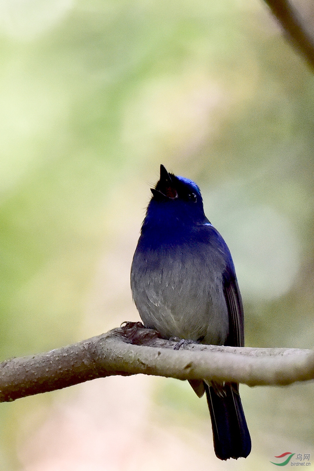 DSC_0578.JPG