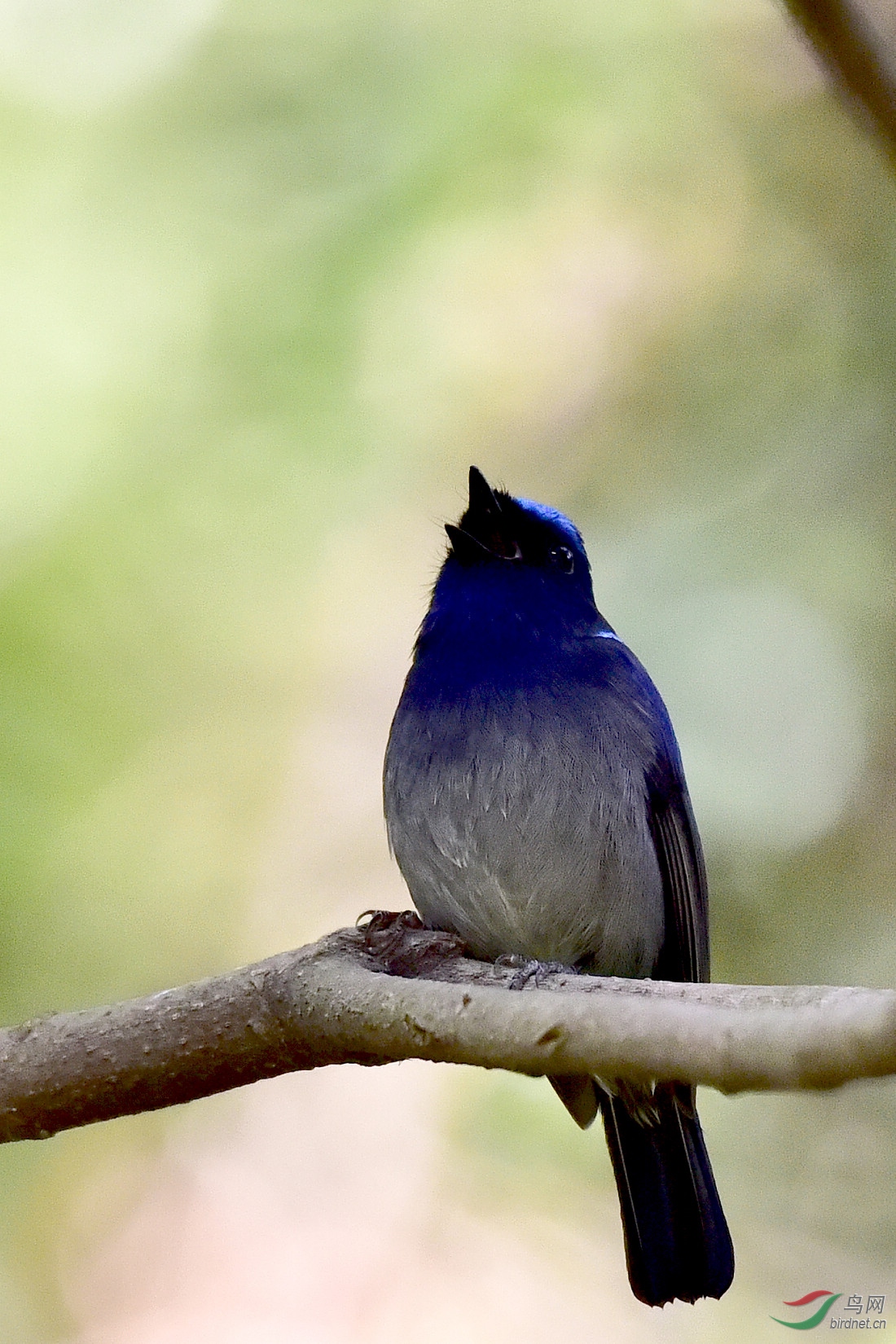 DSC_0580.JPG