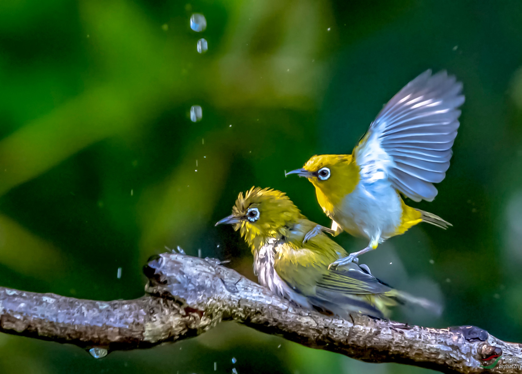 DSC_5159-1��2019.5.17�῵ר����_����.jpg