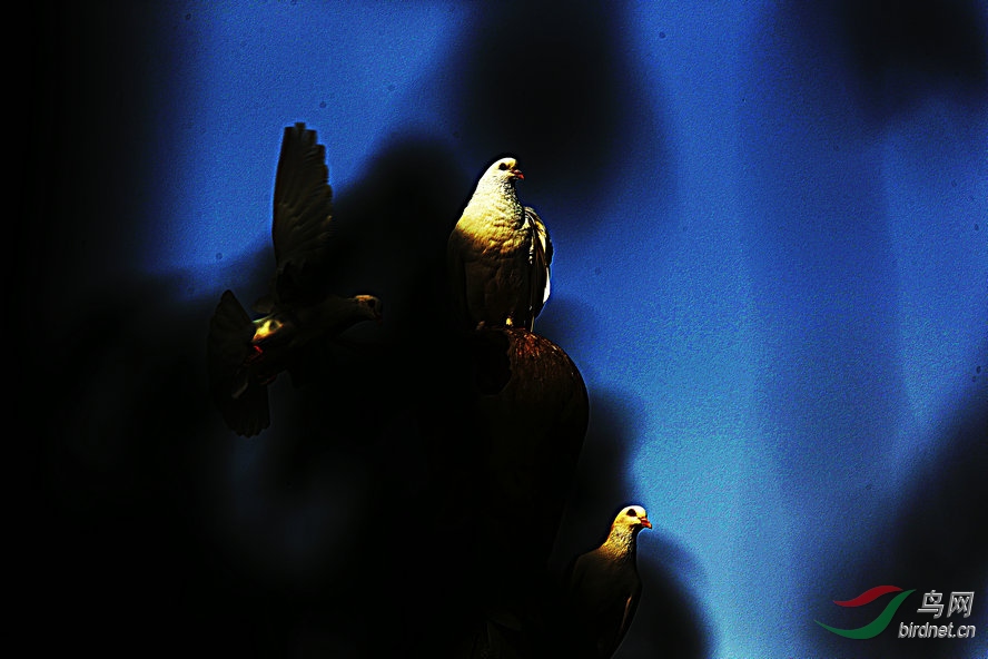 AQ1I1468_����_����.jpg