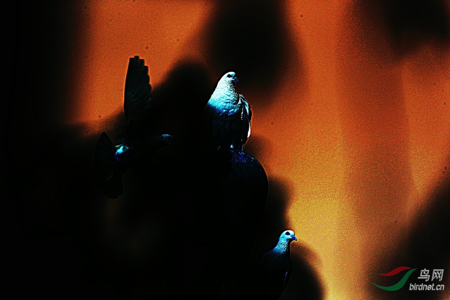 AQ1I1468_����_����1_����.jpg