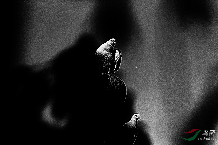 AQ1I1480_����_����1_����1_����.JPG