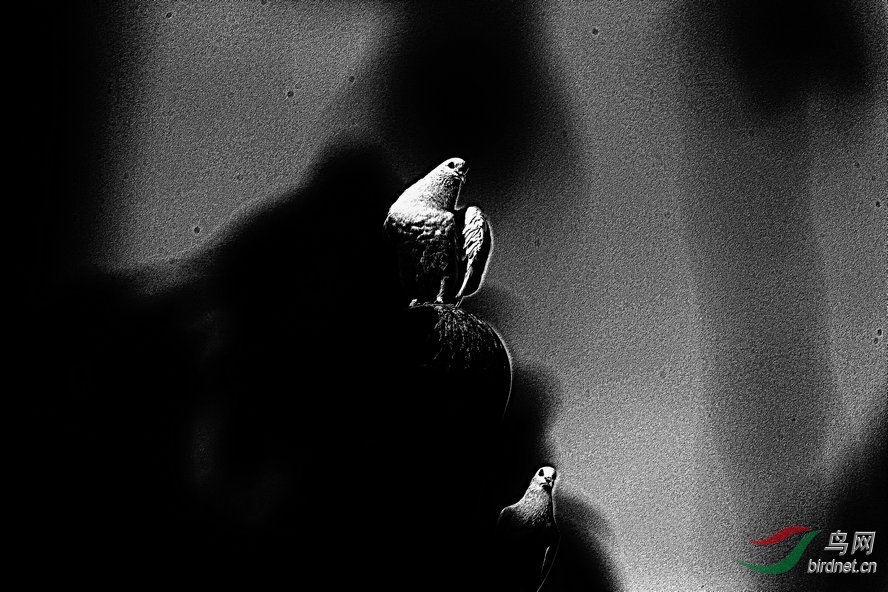 AQ1I1494_����_����1_����1_����.jpg