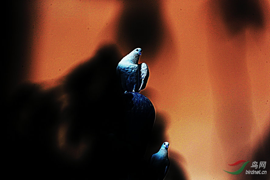 AQ1I1494_����_����1_����.jpg