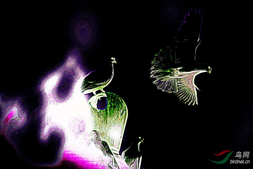 AQ1I1504_����_����1_����1_����1_����.jpg