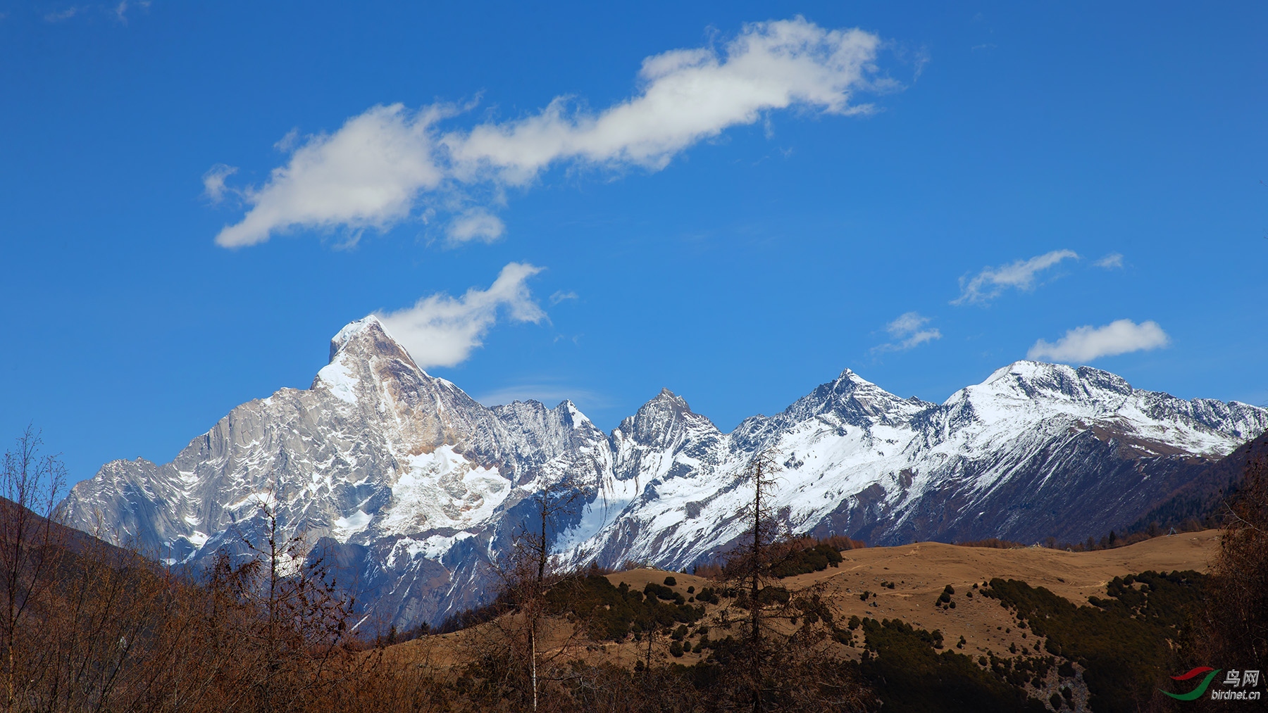 四姑娘山