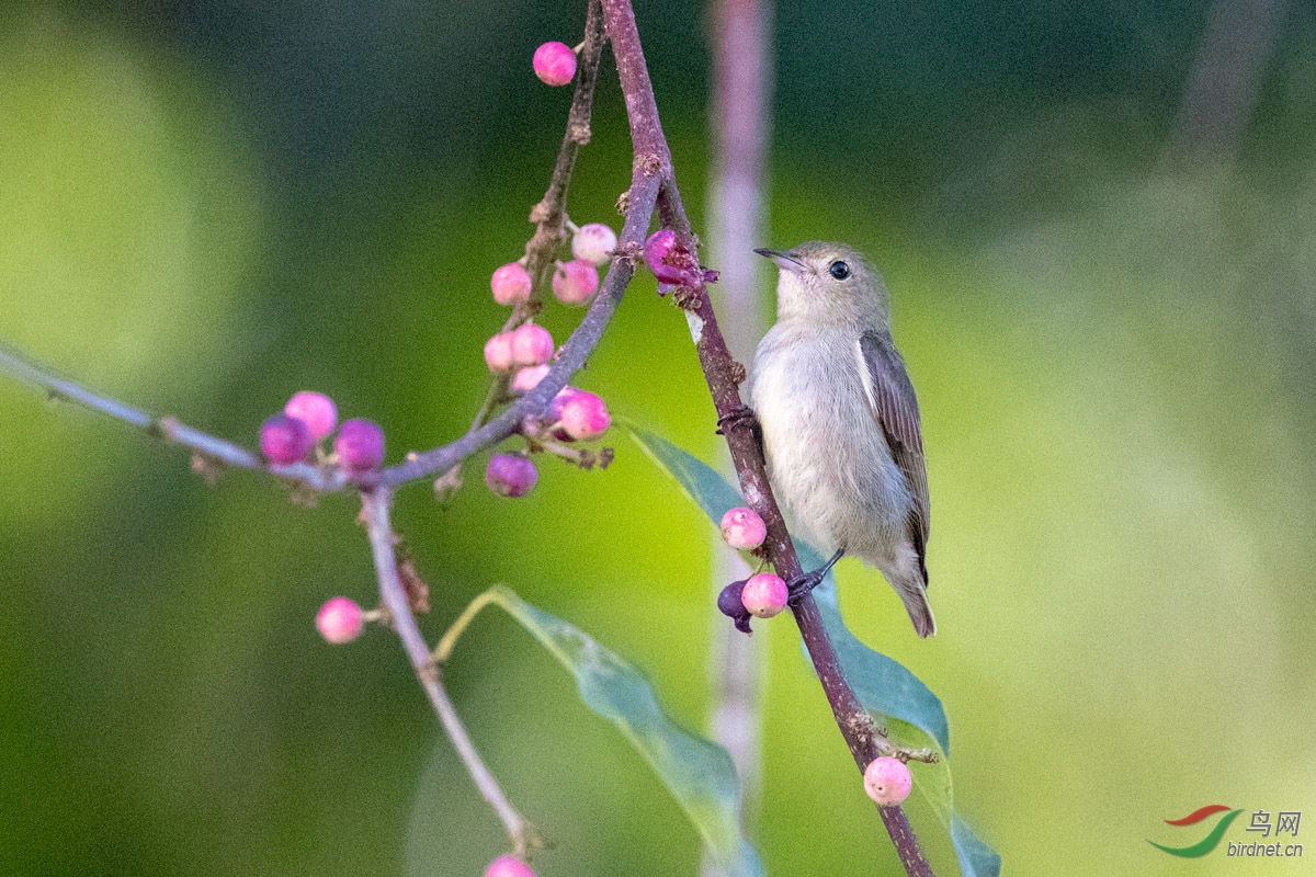 _J4I8122.jpg