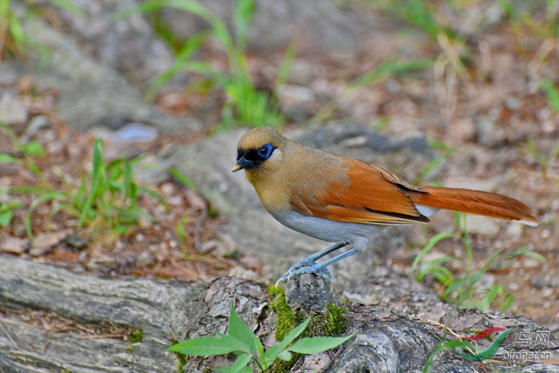 DSC_0836.JPG