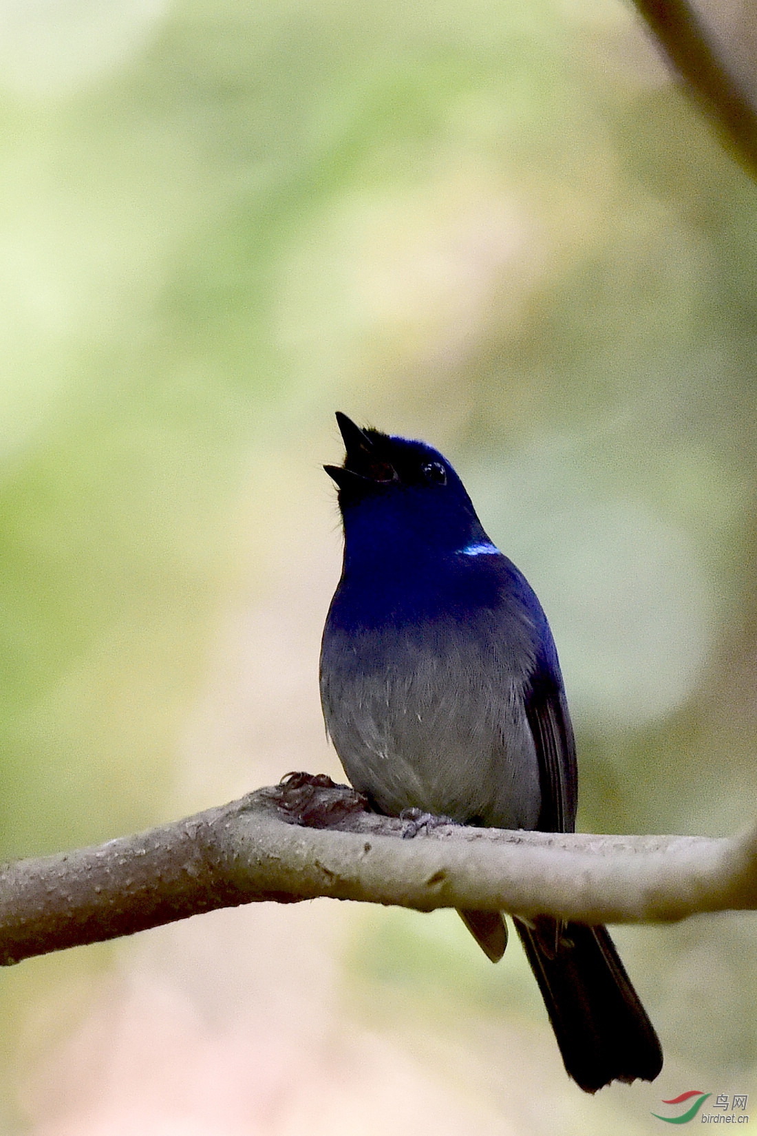 DSC_0588.JPG