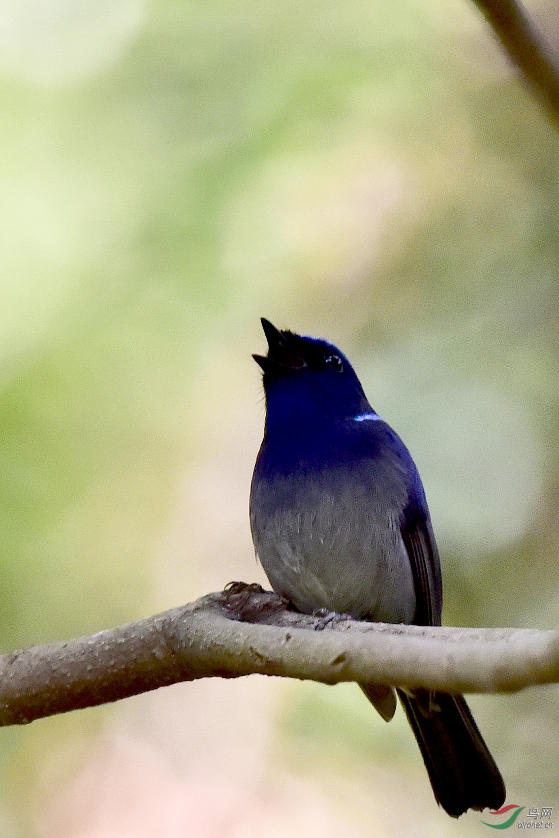 DSC_0589.JPG