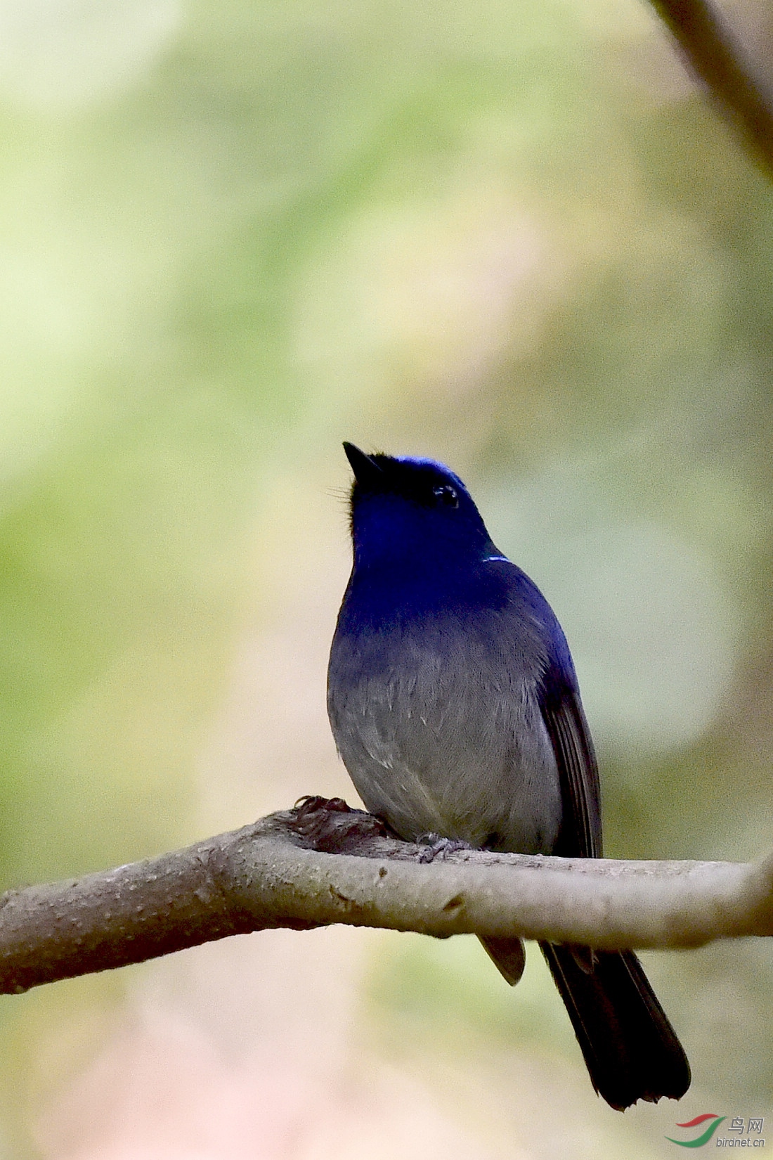 DSC_0590.JPG