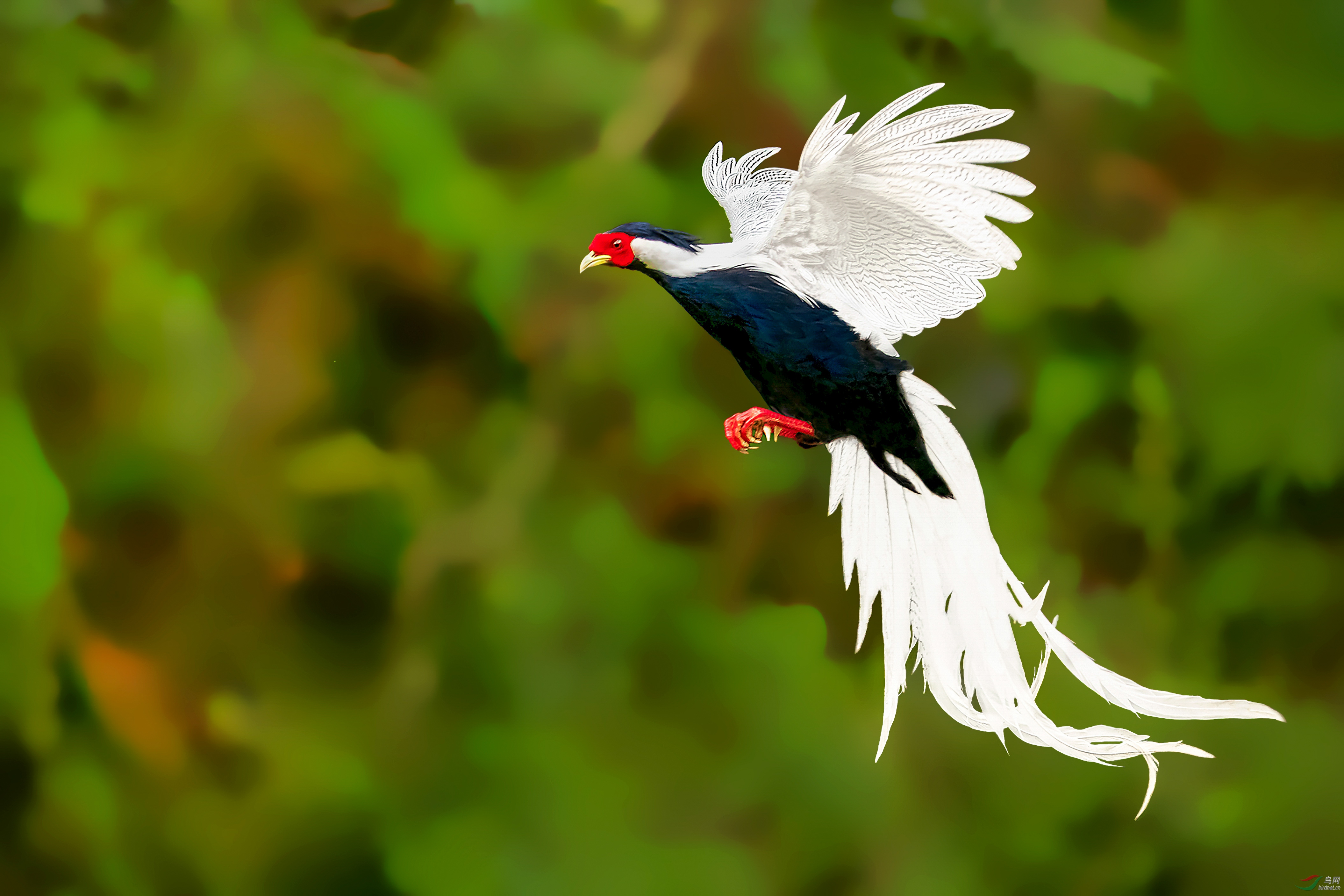 AC1I7132-�ָ��� (5).jpg