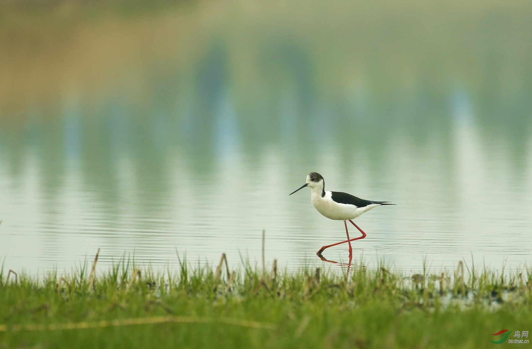 2017-04-07 026_����.jpg