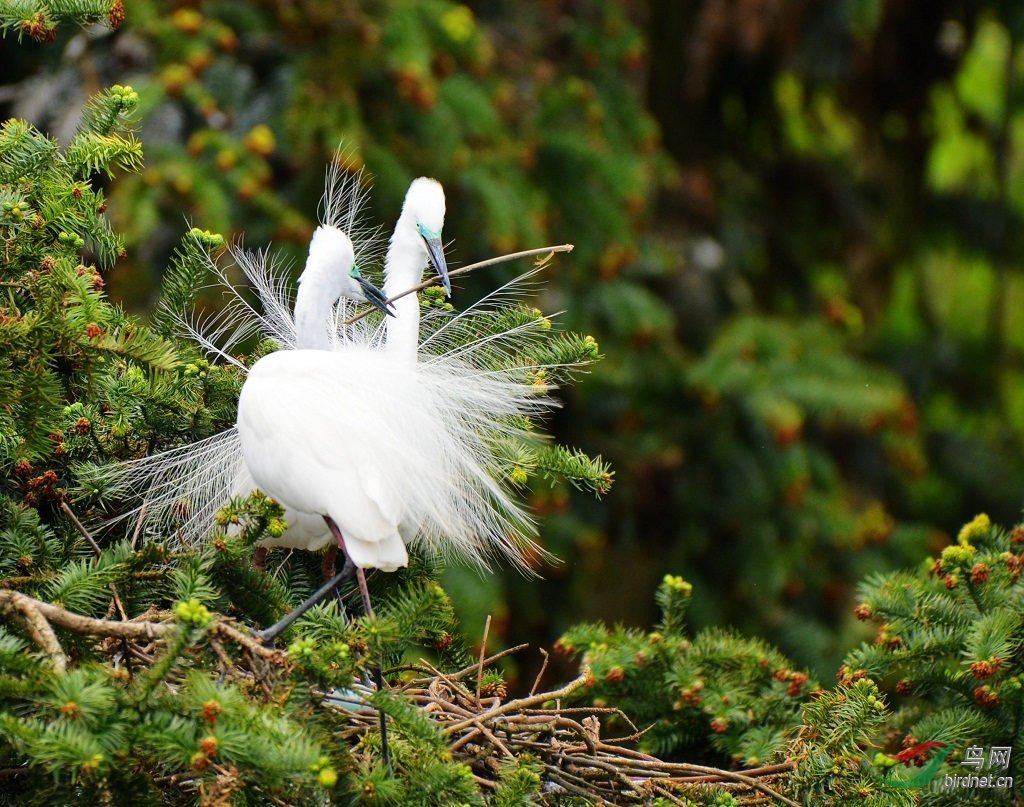 DSC_0759_���� .jpg