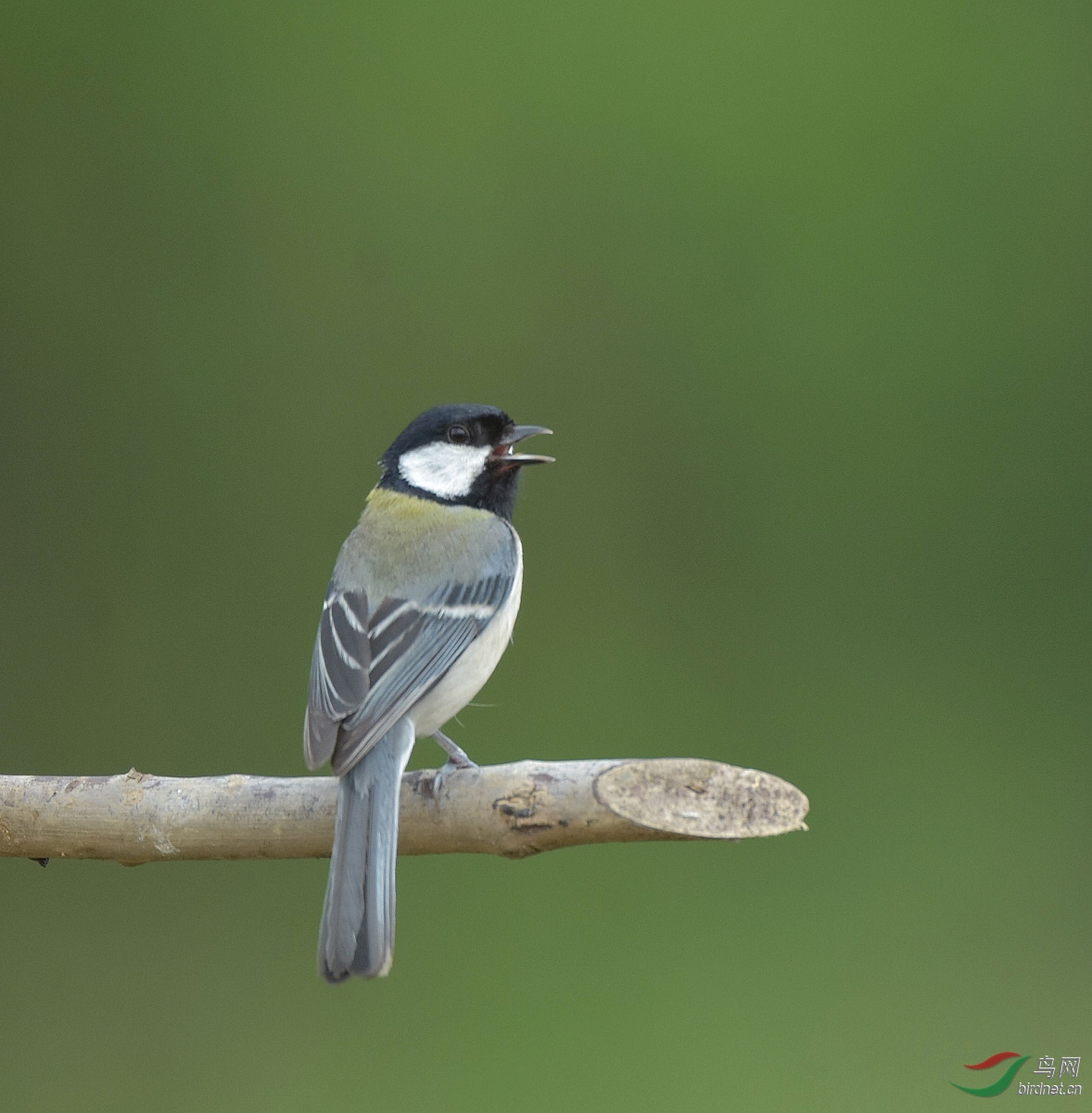 D72_9652.jpg