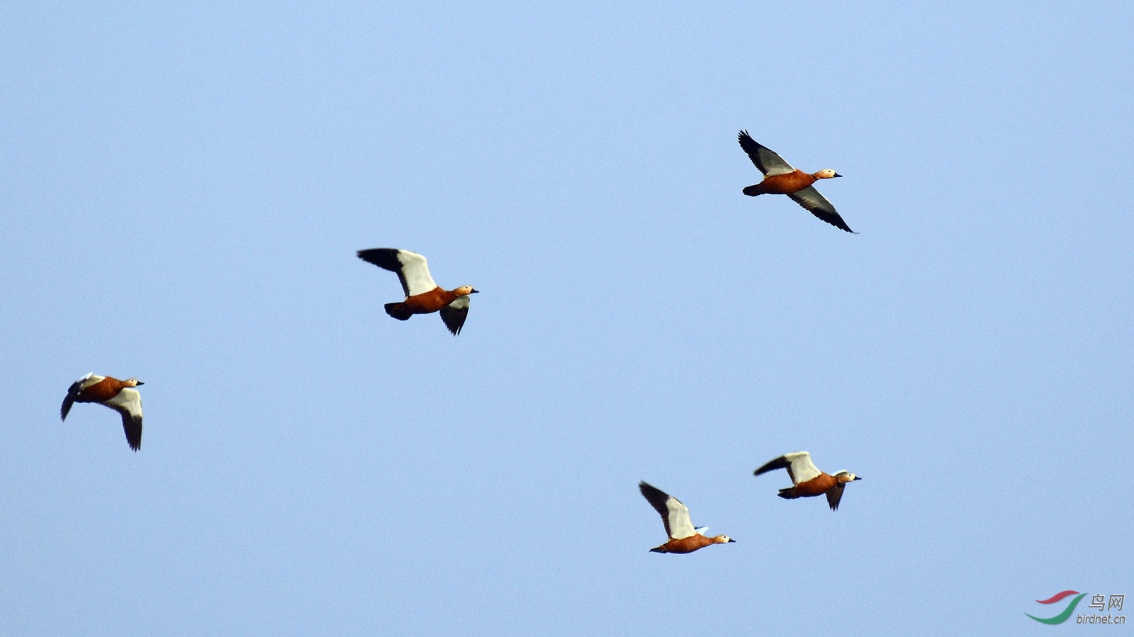 DSC_9224.JPG