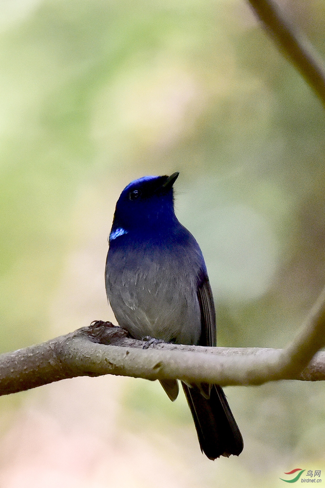 DSC_0592.JPG