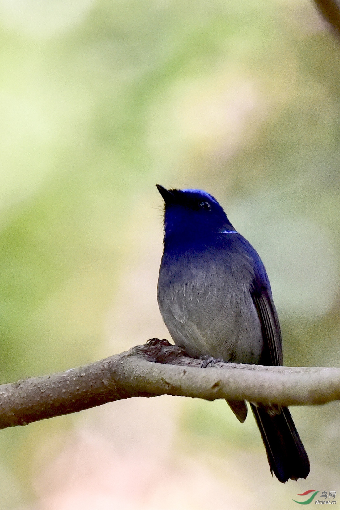 DSC_0595.JPG