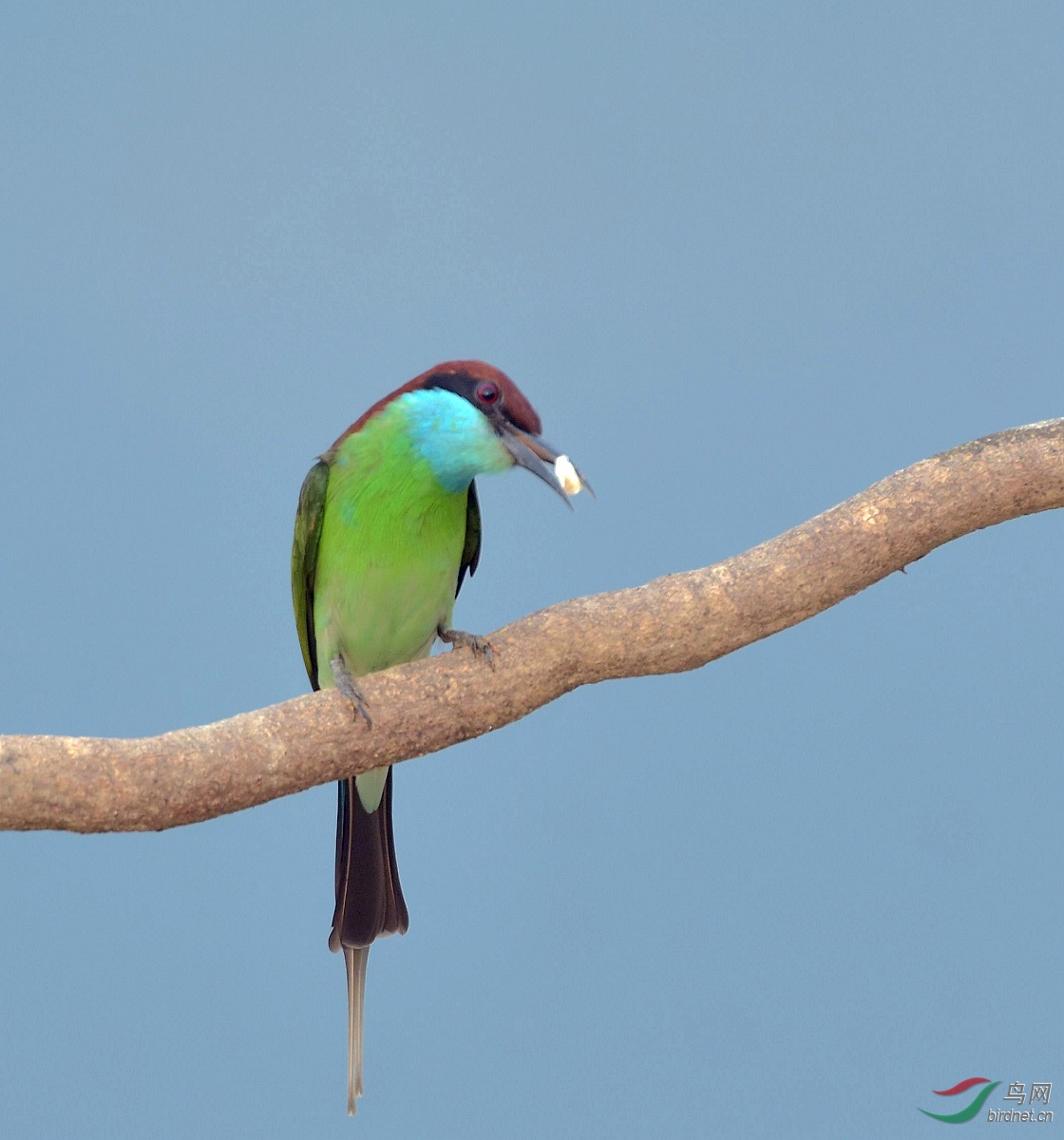 D72_9363.jpg