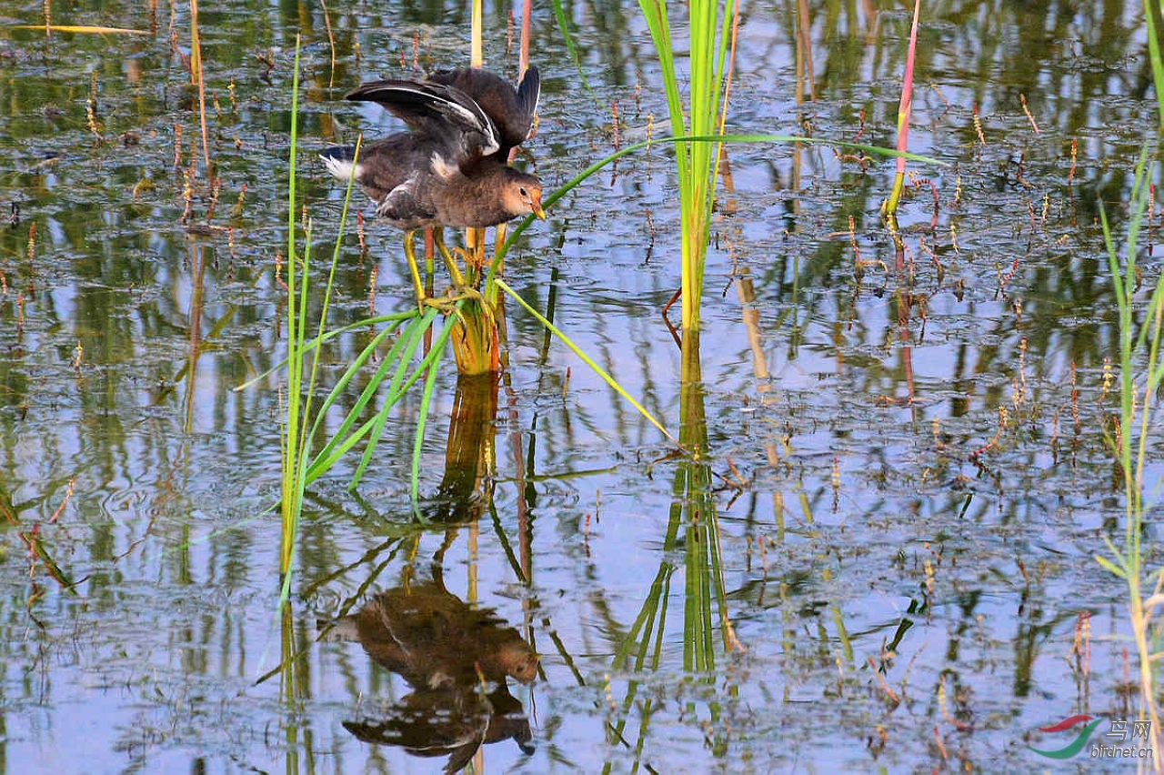 DSC_7493.JPG