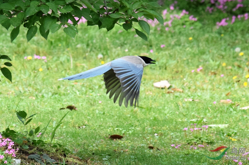 ���ŷ���