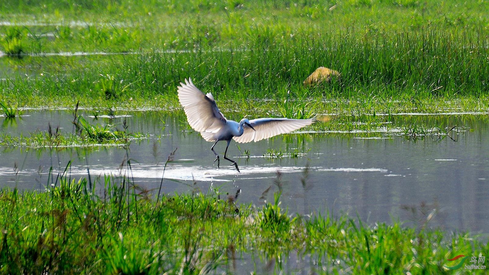 DSC_7104.JPG