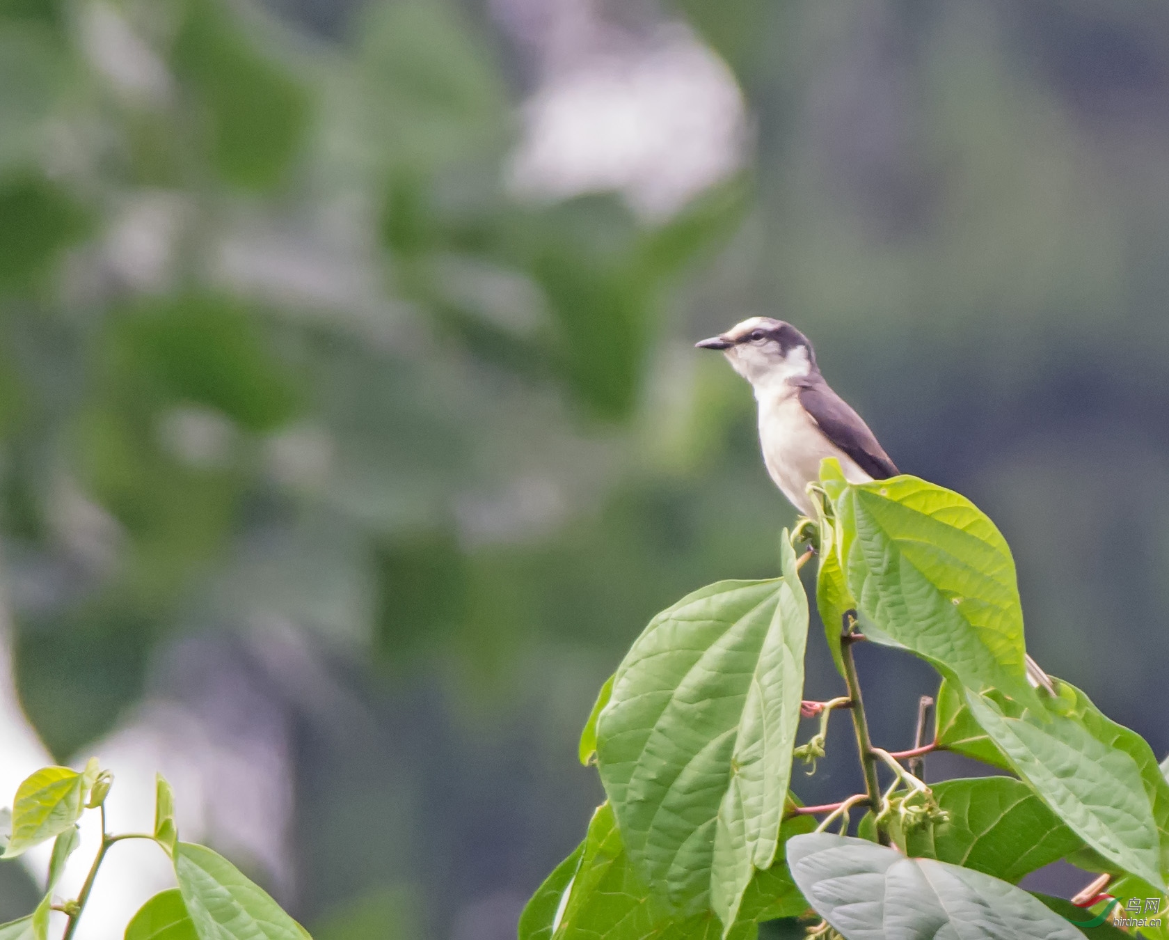 DSC_5412-1.jpg