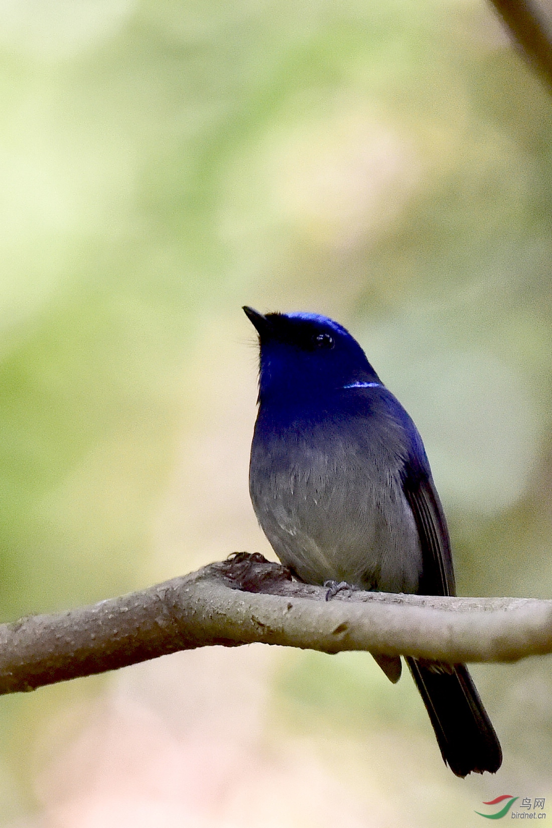DSC_0600.JPG