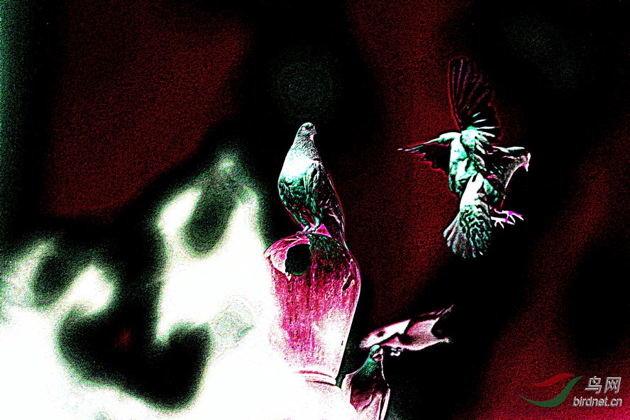 AQ1I1652_����_����1_����1_����.jpg