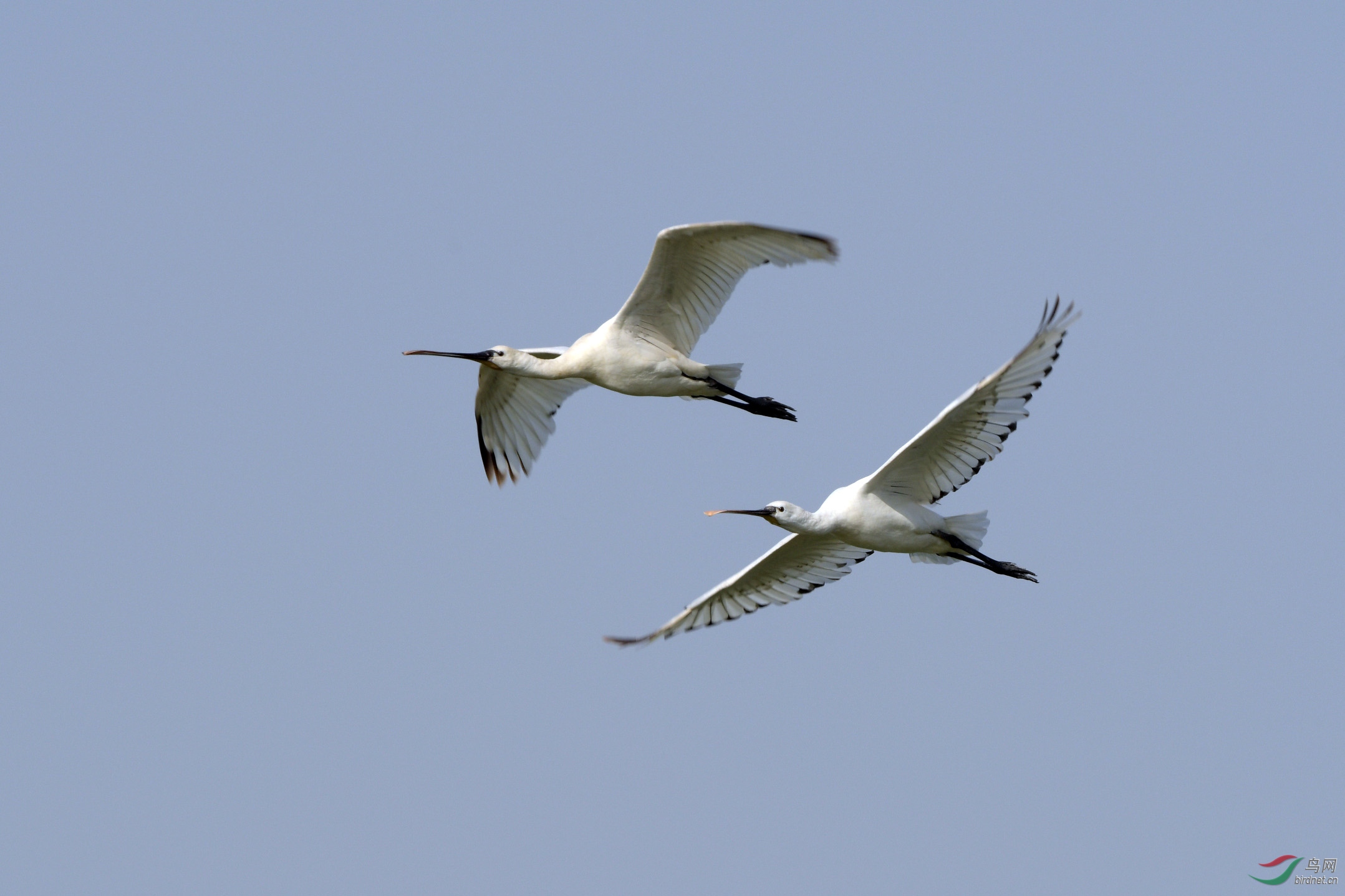D50_2294.jpg