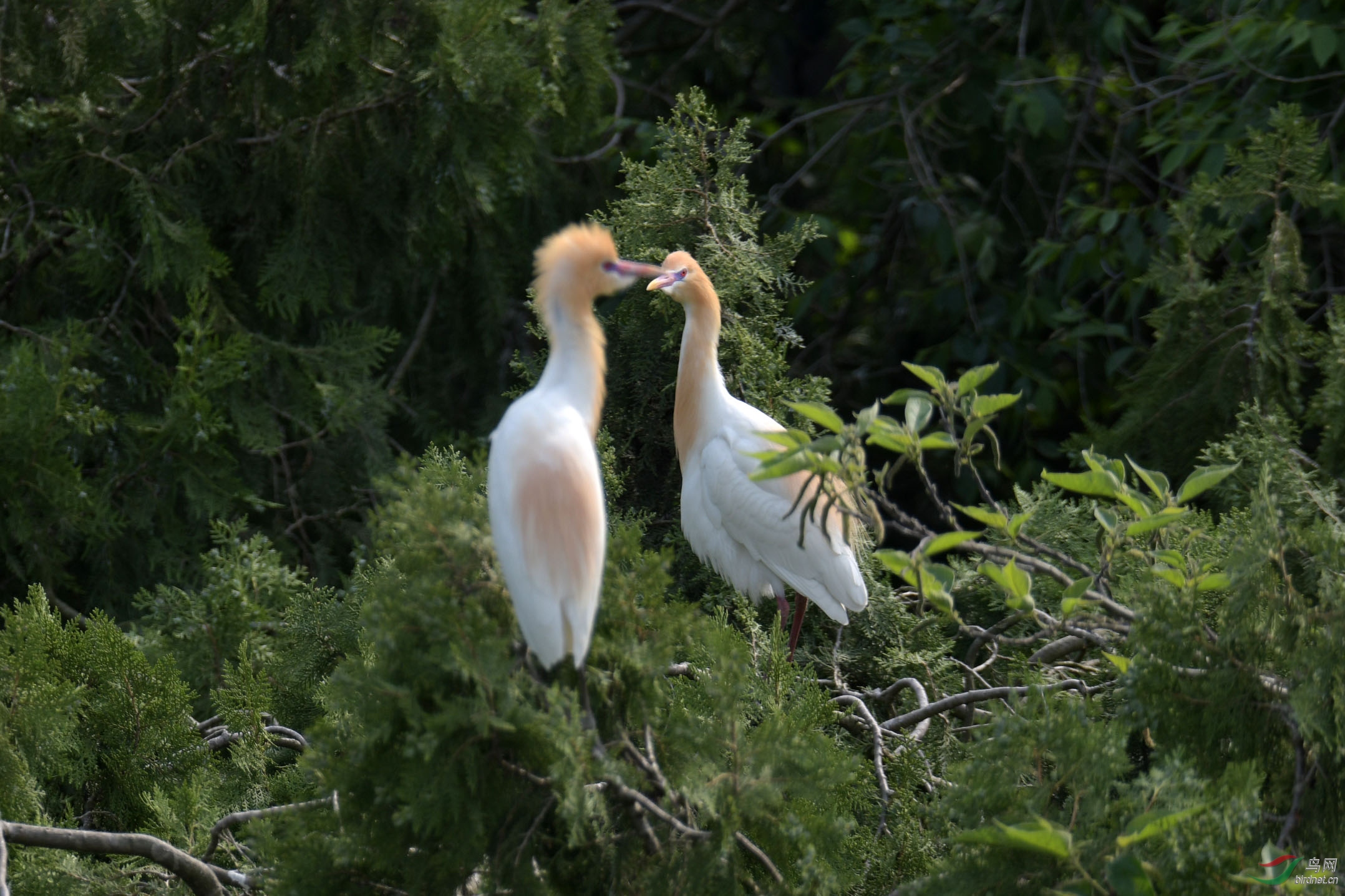 D50_2066.jpg